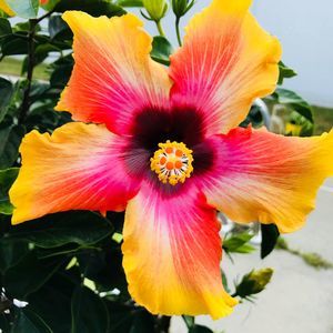 Meet your Posher, Jenn